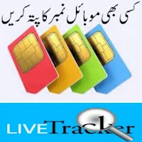 Live Tracker | Sim Detail 2023