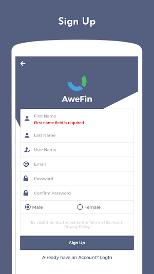 AweFin Theme Screenshot 1