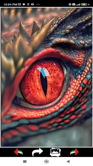 Dragons Wallpapers Screenshot 1
