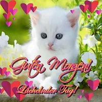 Guten Morgen!