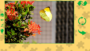 Puzzles for adults of a puzzle Screenshot 3
