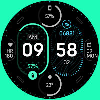 TKS 14 Gauge Watch Face
