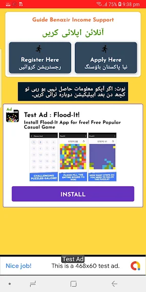 Guide Benazeer Income Support Screenshot 1