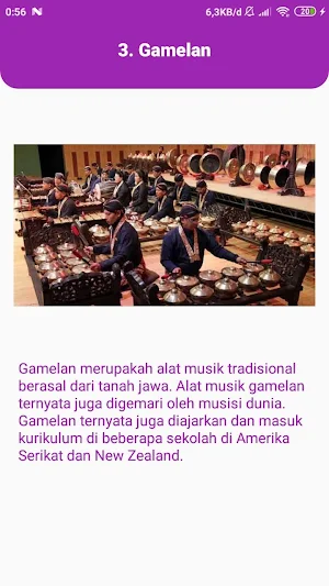 Alat Musik Tradisional Indonesia Screenshot 3
