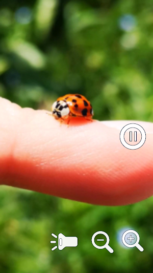 Magnifying Glass Zoom Pro 2 Screenshot 1
