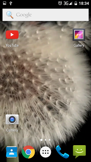 Dandelion HD Video Wallpaper Screenshot 0