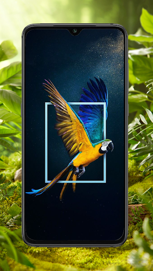 Bird Wallpaper Screenshot 1