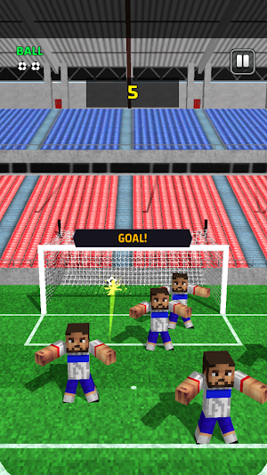 Pixel Soccer 3D Screenshot 3