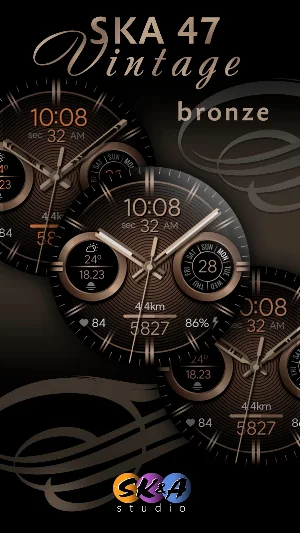 SKA 47 Vintage Screenshot 2