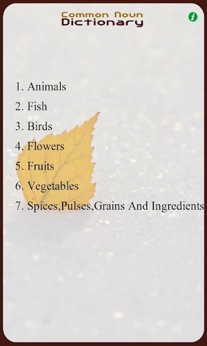The Common Noun Dictionary Screenshot 1