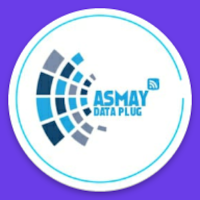 Asmay Data Plug