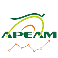 Estadística APEAM