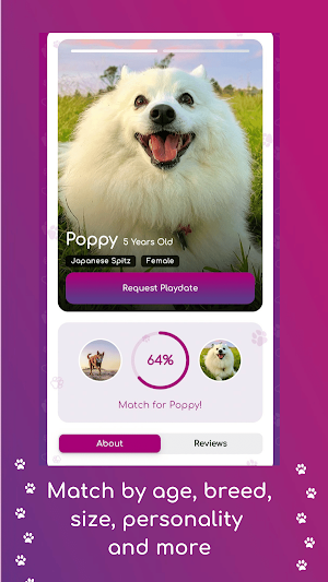Socialdog Screenshot 1