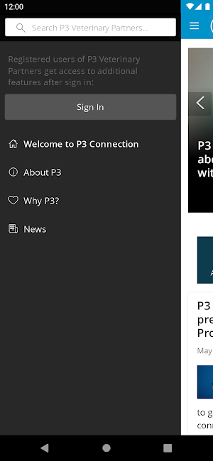 P3 Connection Screenshot 1