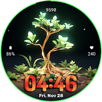 A060 Grow Plant By Step