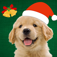 My Dog & Me: Puppy Simulator