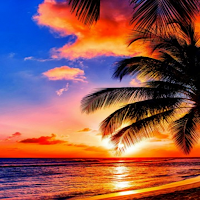 Tropical Wallpaper