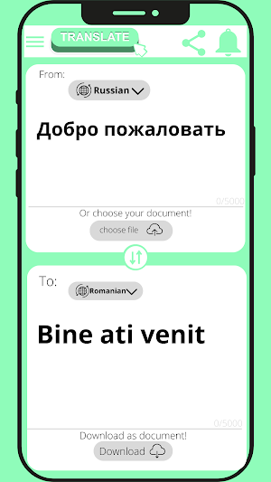 Romanian to Russian Translator Screenshot 3