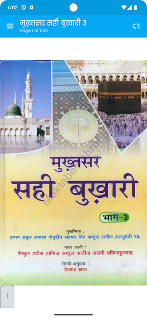 Mukhtasar Sahi Bukhari 3 Hindi Screenshot 0