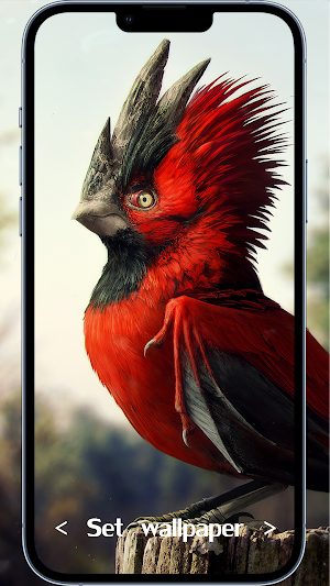 Beautiful Wallpaper HD Screenshot 3