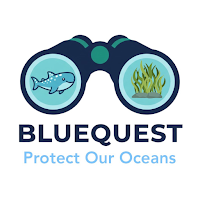 Blue Quest