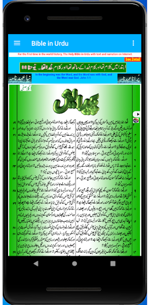 Bible in Urdu offline Screenshot 1