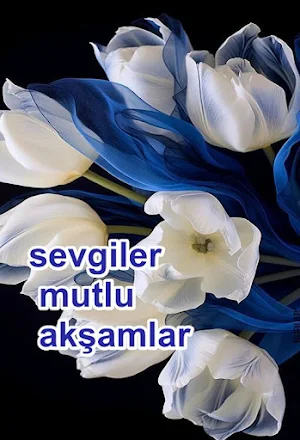 mutlu akşamlar, iyi geceler Screenshot 0