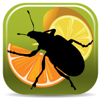 Citrus Pests Key
