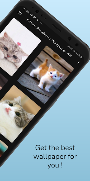 Aesthetic Cute Kitten Wallpaper 4K Screenshot 1