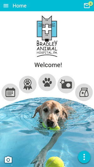 Bradley Animal Hospital Screenshot 0
