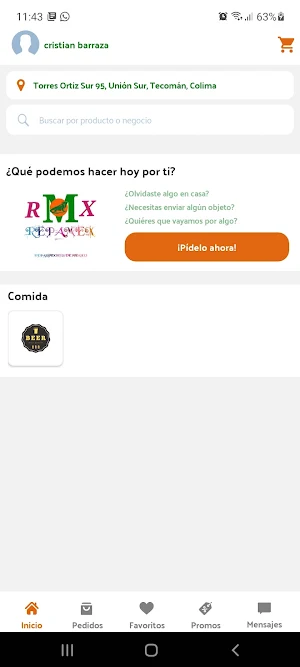 Repamex Screenshot 0