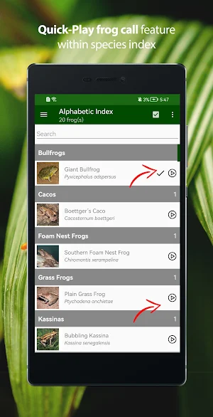 Frogs of Southern Africa LITE Screenshot 3
