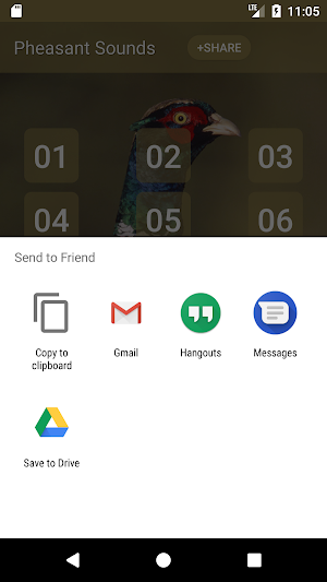 Pheasant bird sounds Screenshot 2