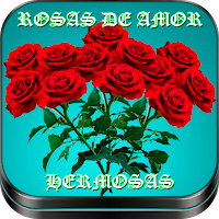 Frases-rosas de amor hermosas