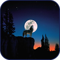 10000 Wild Animals Wallpapers