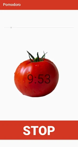 Pomodoro Screenshot 1