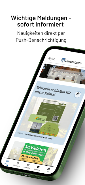 Dintesheim Screenshot 1