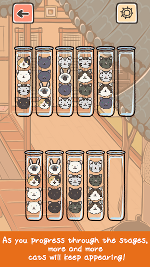 Cat Sort - Sort Puzzle Game Screenshot 1