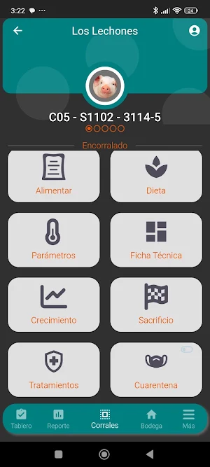 Aplians Pig Screenshot 1