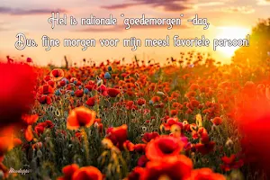 Goedemorgen Goedenacht Schat Screenshot 2
