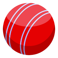 Hand Cricket Game