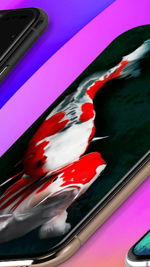 Koi Fish Wallpaper Screenshot 2