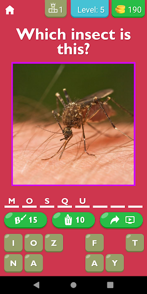 Insect Explorer Game screenshot 7