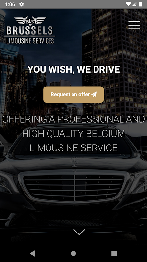 Brussels Limousine Services Screenshot 0