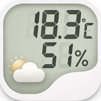 Thermometer: Digital Room