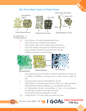 Bio Class 9 Screenshot 3