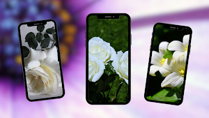 Flowers Wallpapers Screenshot 0
