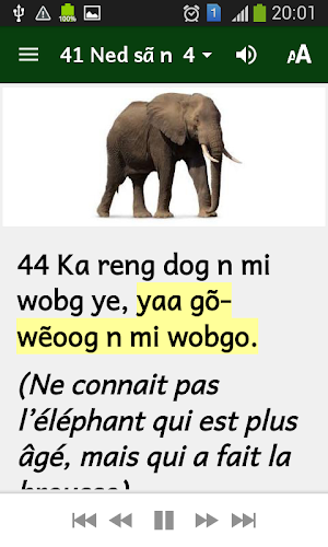 Proverbes en mooré vol. 2 Screenshot 1