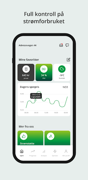 Sunndal Energi Screenshot 0