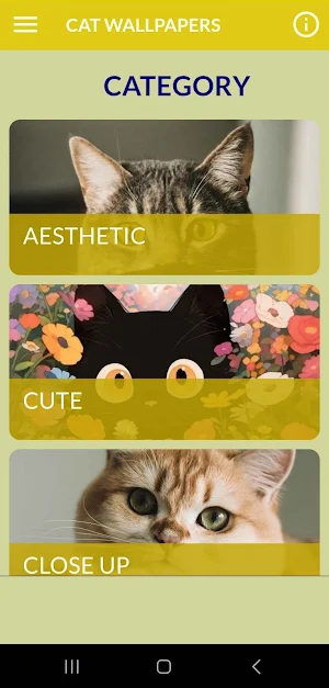 Cute Cats Wallpaper Screenshot 0